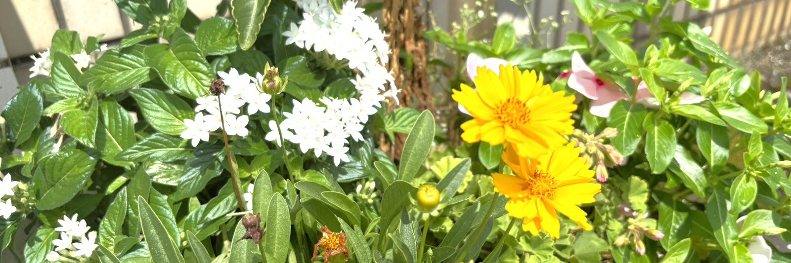 乾医院,内科,小児科,鳥取県,鳥取市,鹿野町